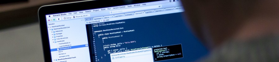 Software Development
